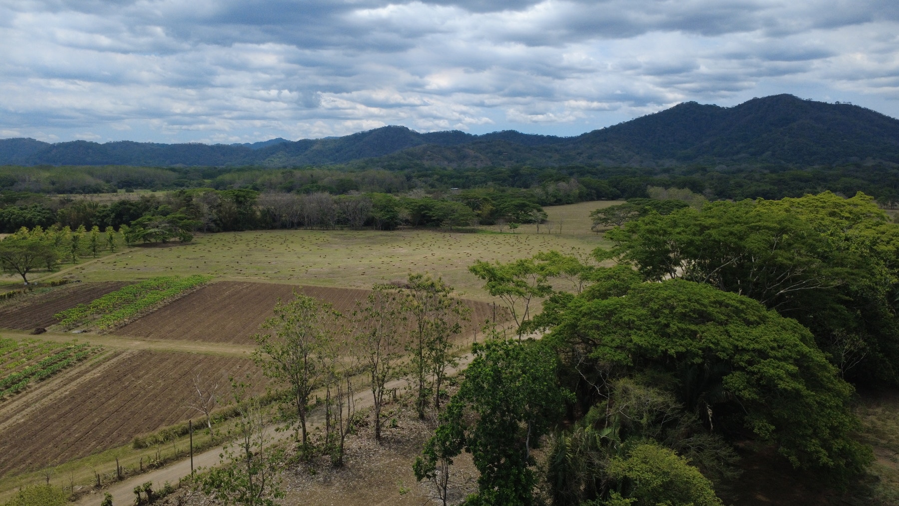 101 Hectares of Prime Agricultural Land with Infrastructure Operational Certified Organic Farm — photo 13 of 15