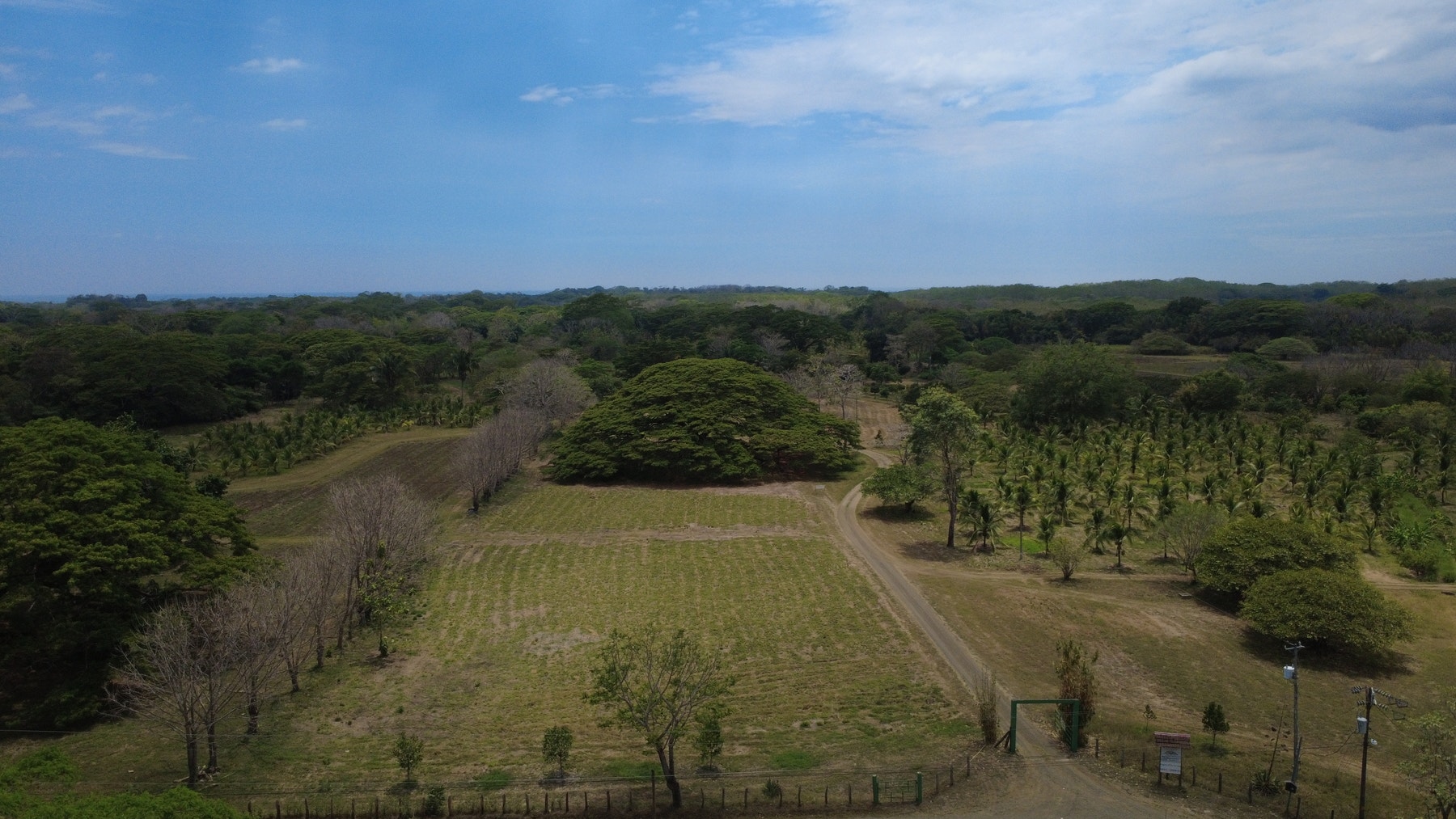 101 Hectares of Prime Agricultural Land with Infrastructure Operational Certified Organic Farm — photo 14 of 15