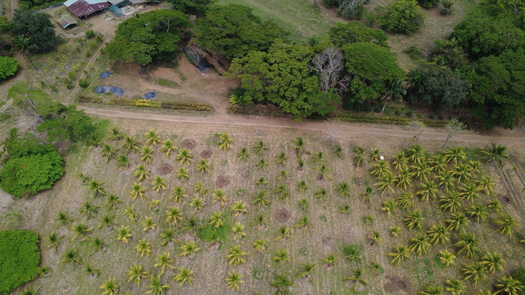 101 Hectares of Prime Agricultural Land with Infrastructure Operational Certified Organic Farm — photo 15 of 15