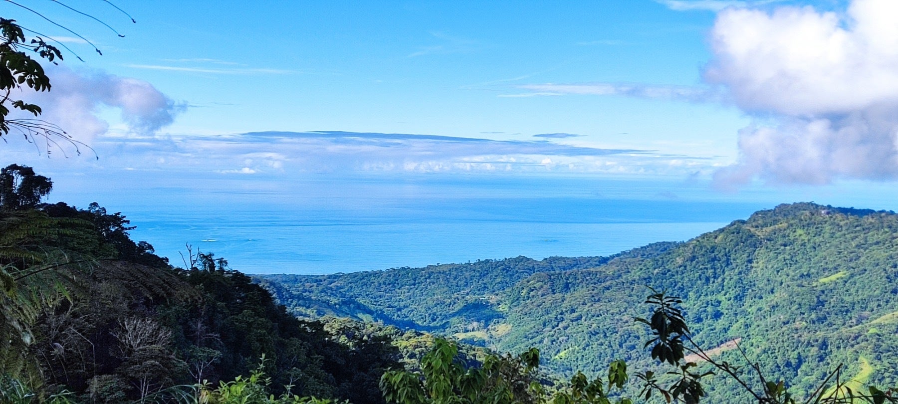 Uvita Hills — photo 4 of 19