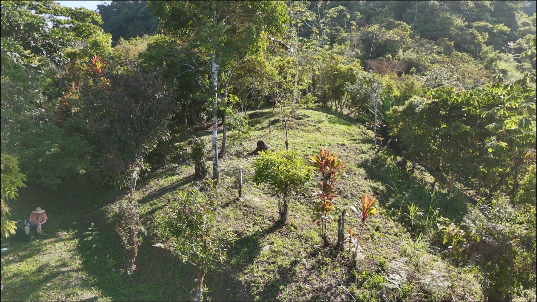 Uvita Hills — photo 11 of 19