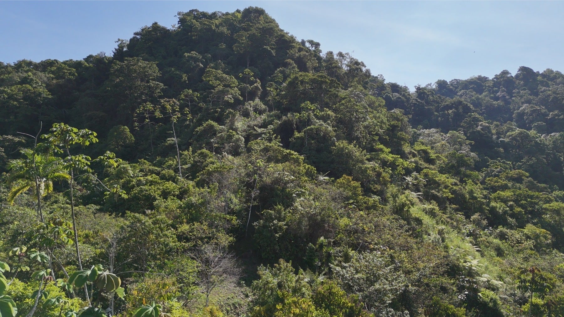 Uvita Hills — photo 12 of 19