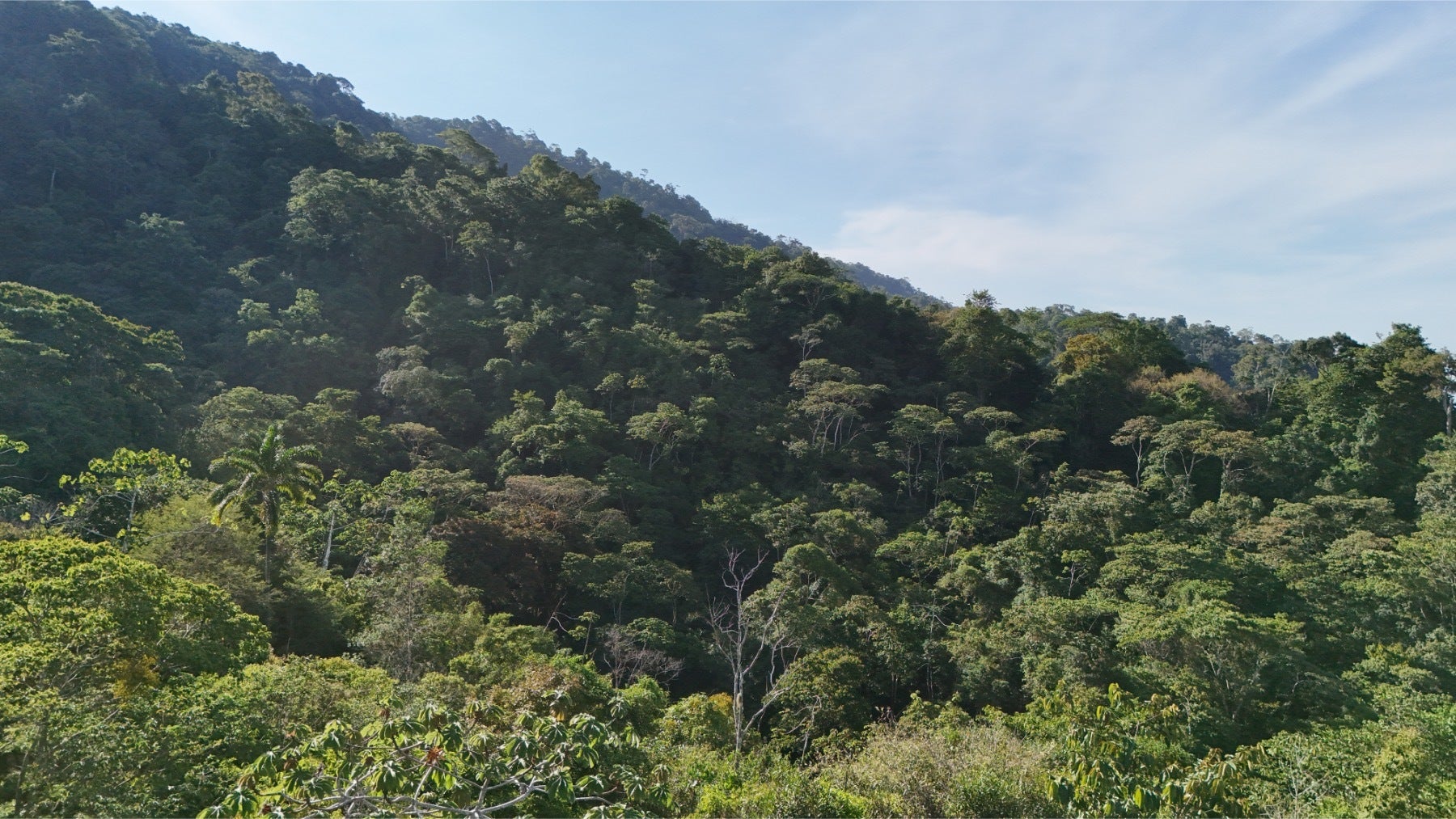 Uvita Hills — photo 15 of 19