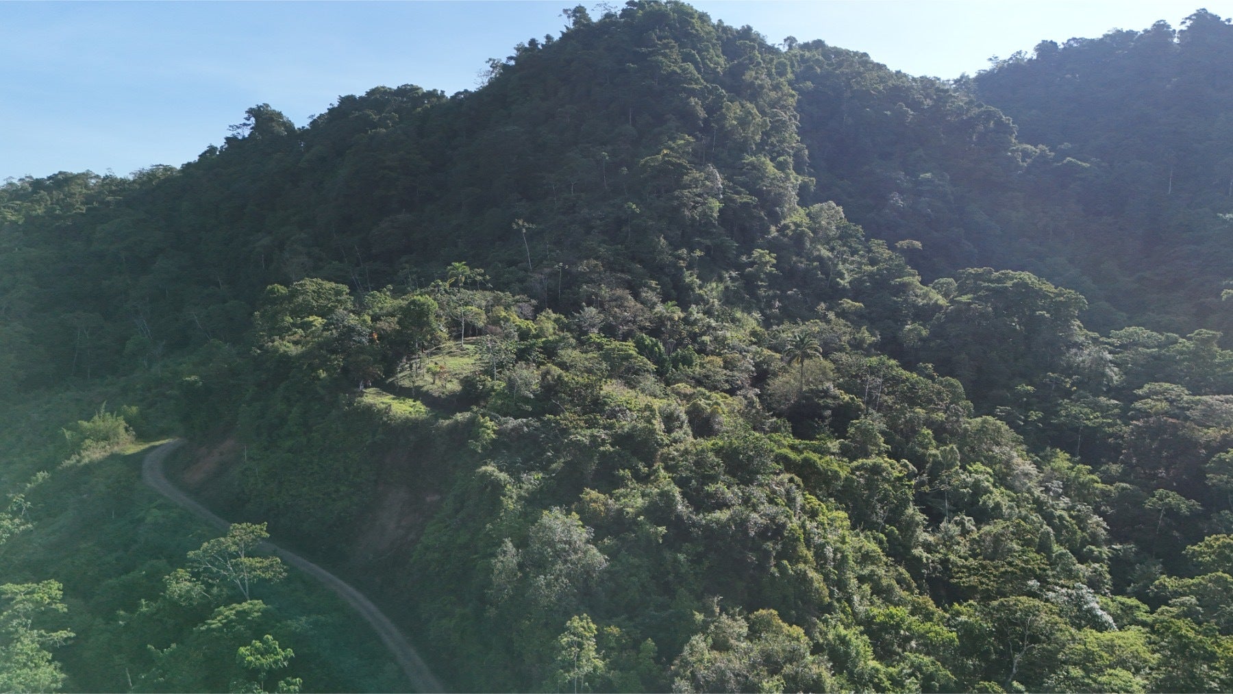 Uvita Hills — photo 17 of 19