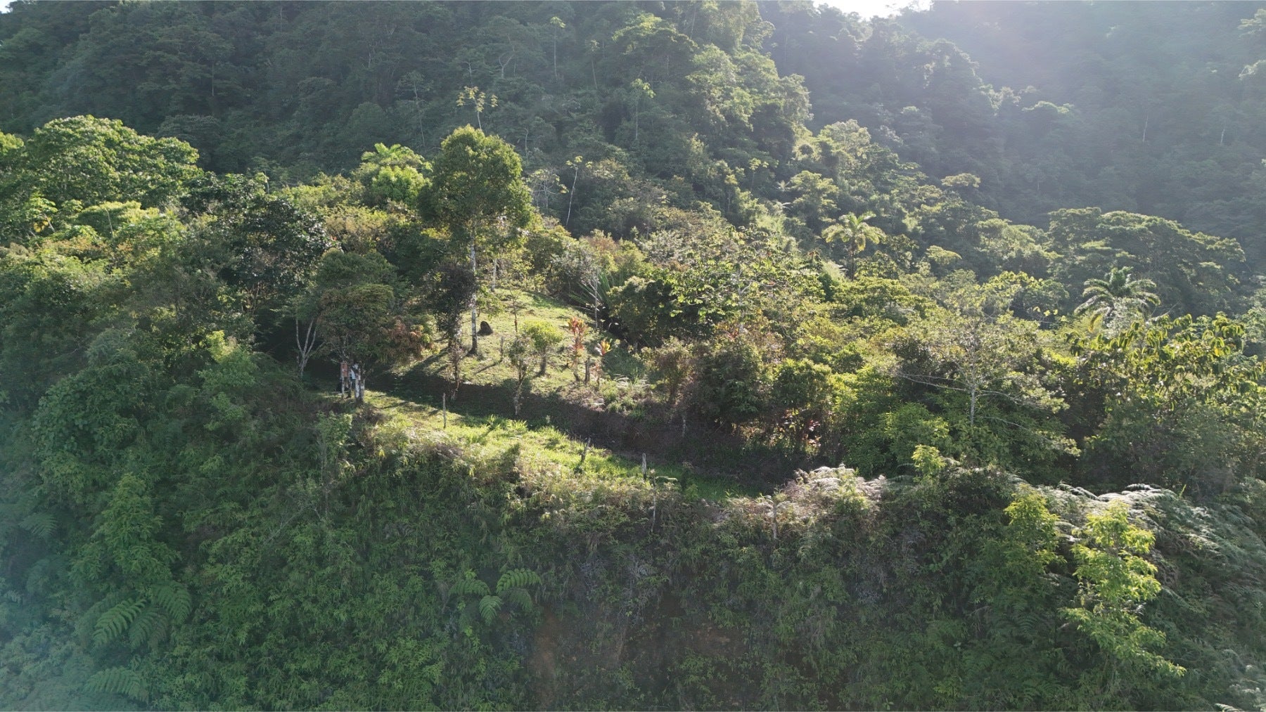 Uvita Hills — photo 19 of 19