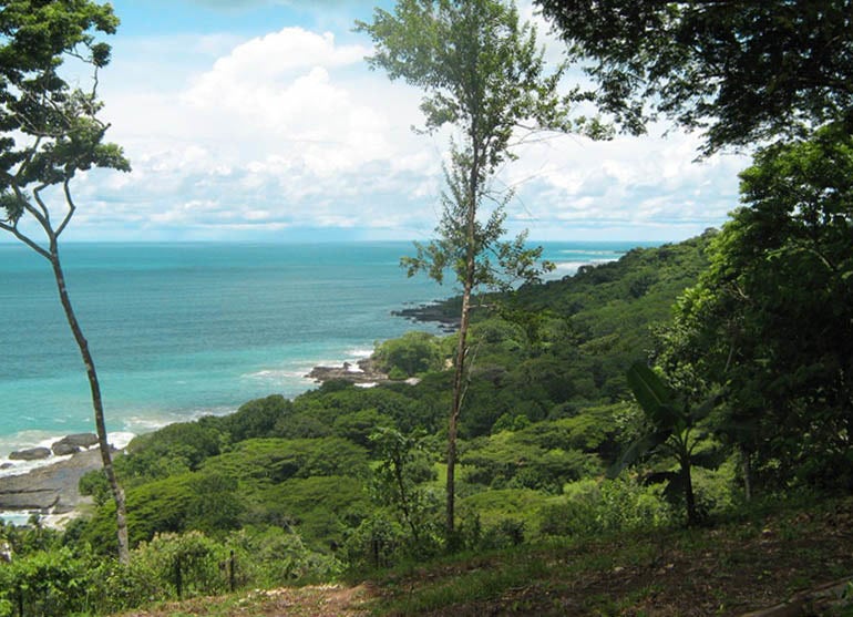 Stunning Ocean View Lot — photo 2 of 15
