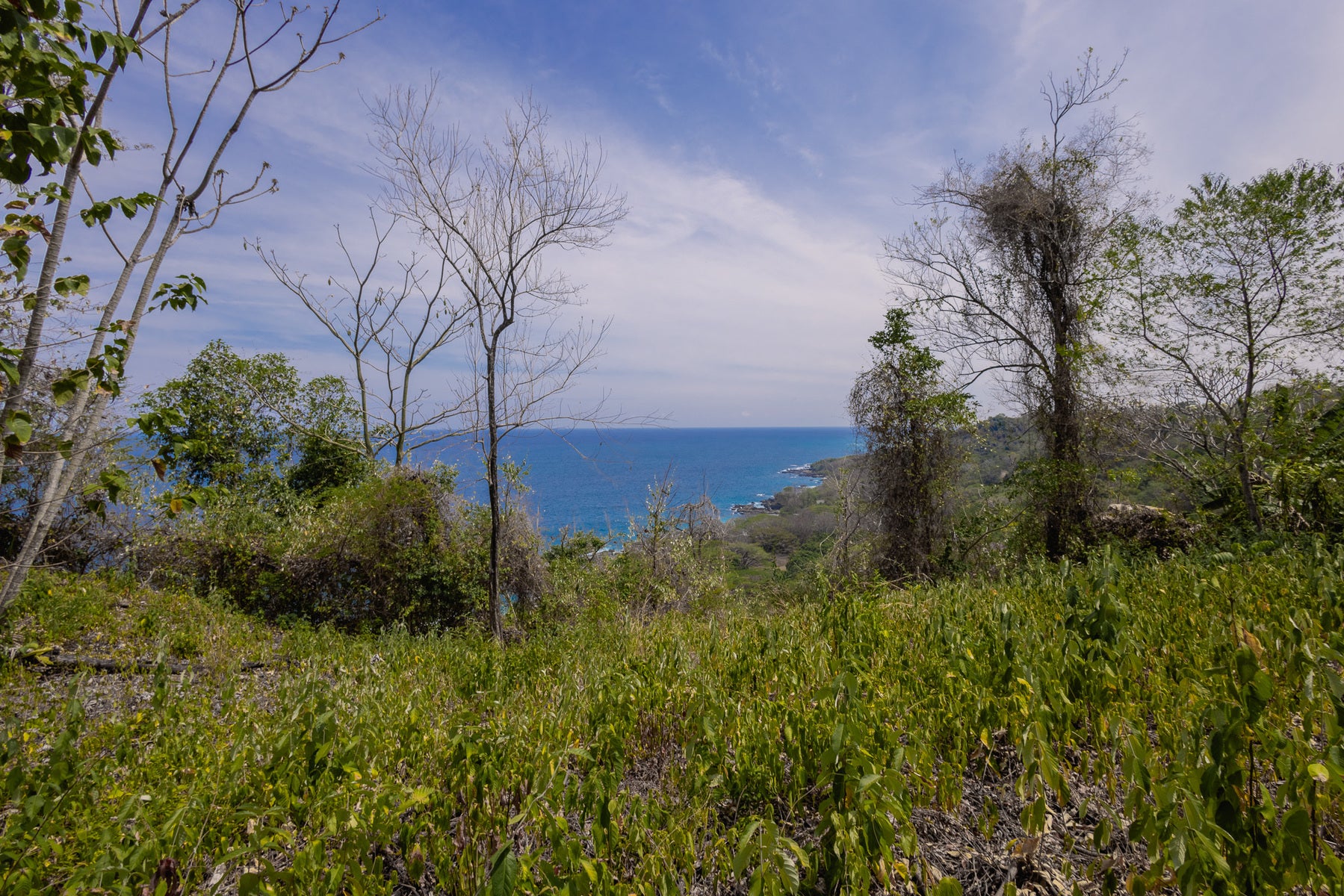 Stunning Ocean View Lot — photo 7 of 15