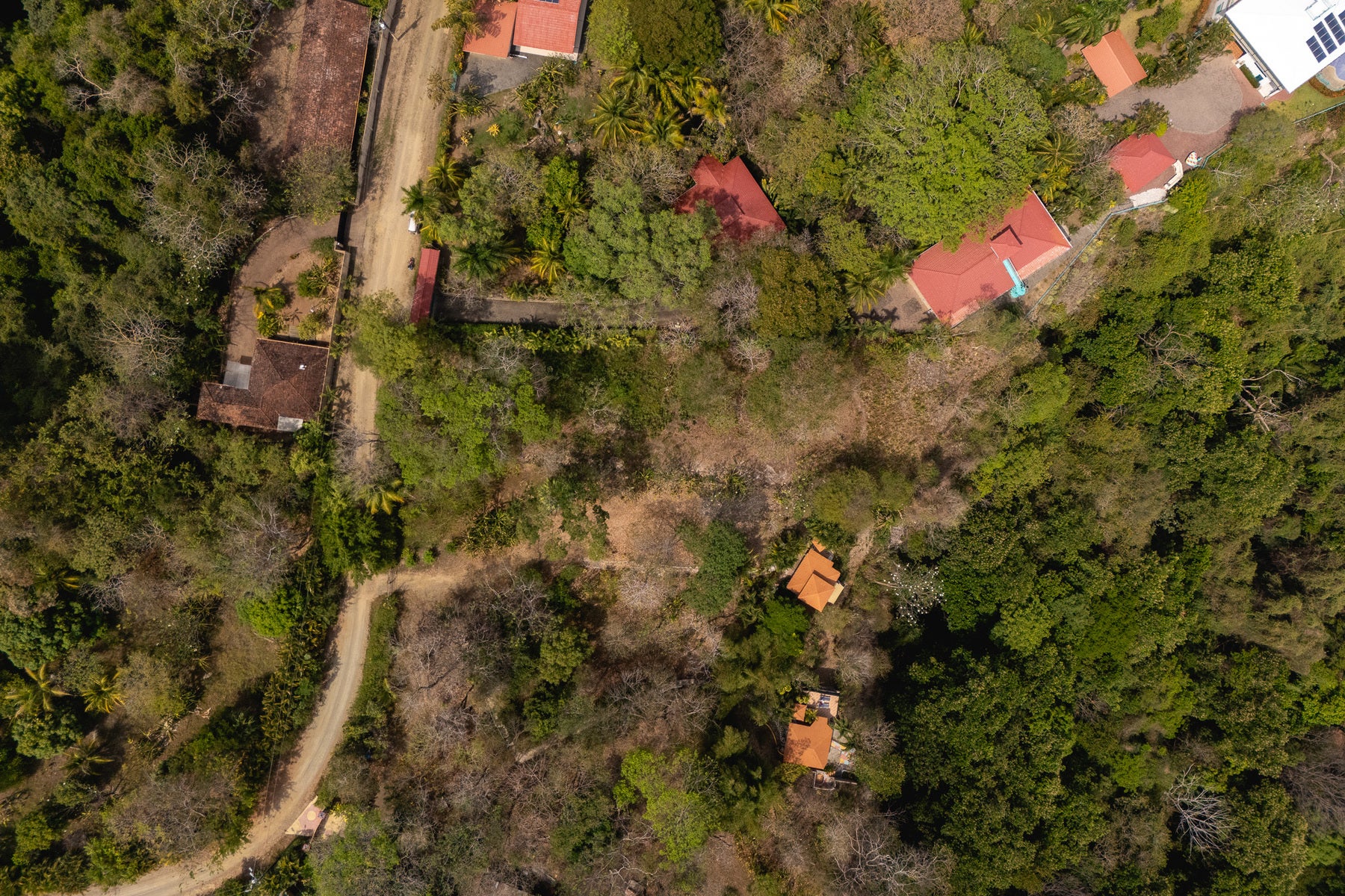 Stunning Ocean View Lot — photo 10 of 15