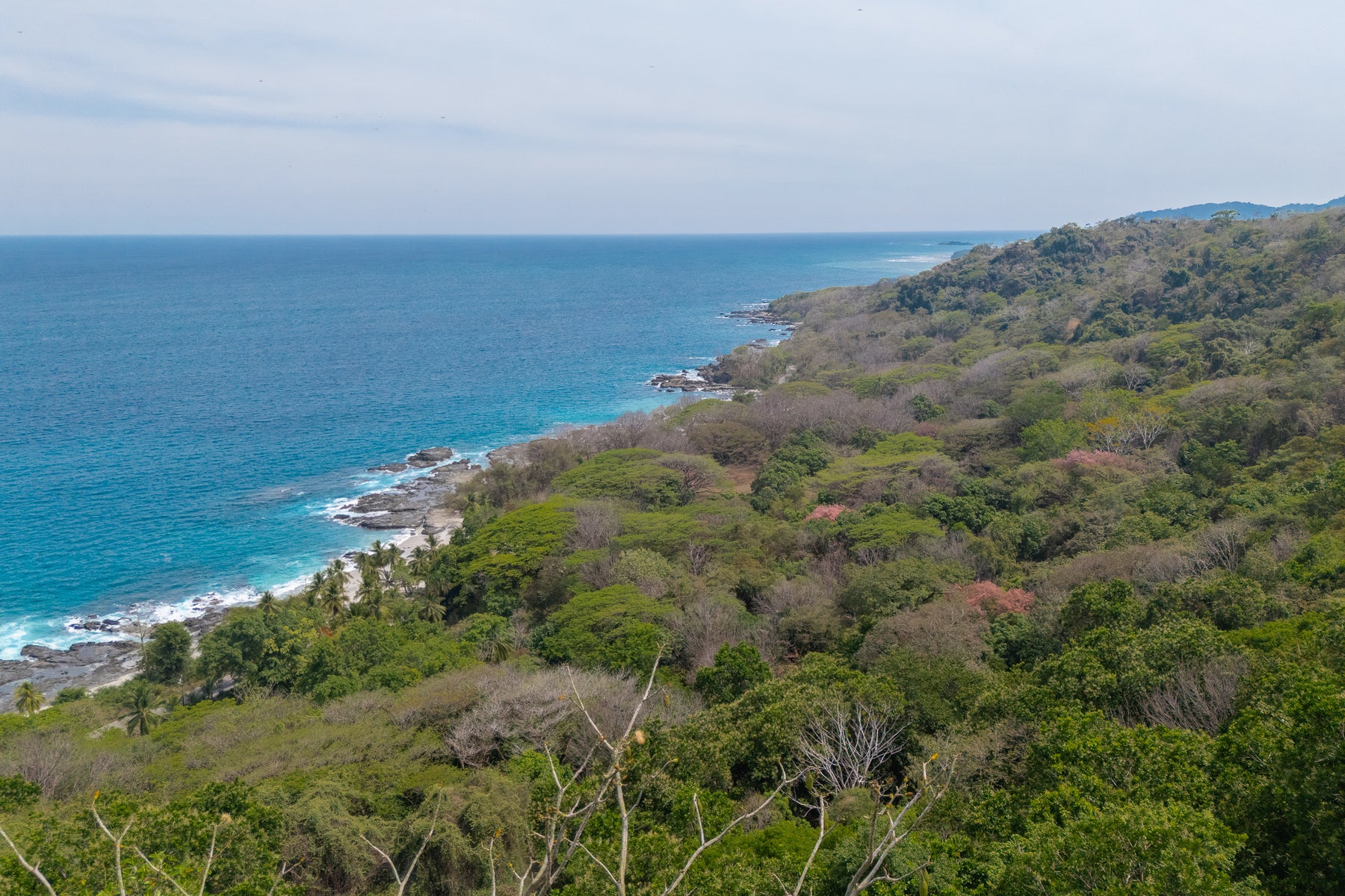 Stunning Ocean View Lot — photo 14 of 15