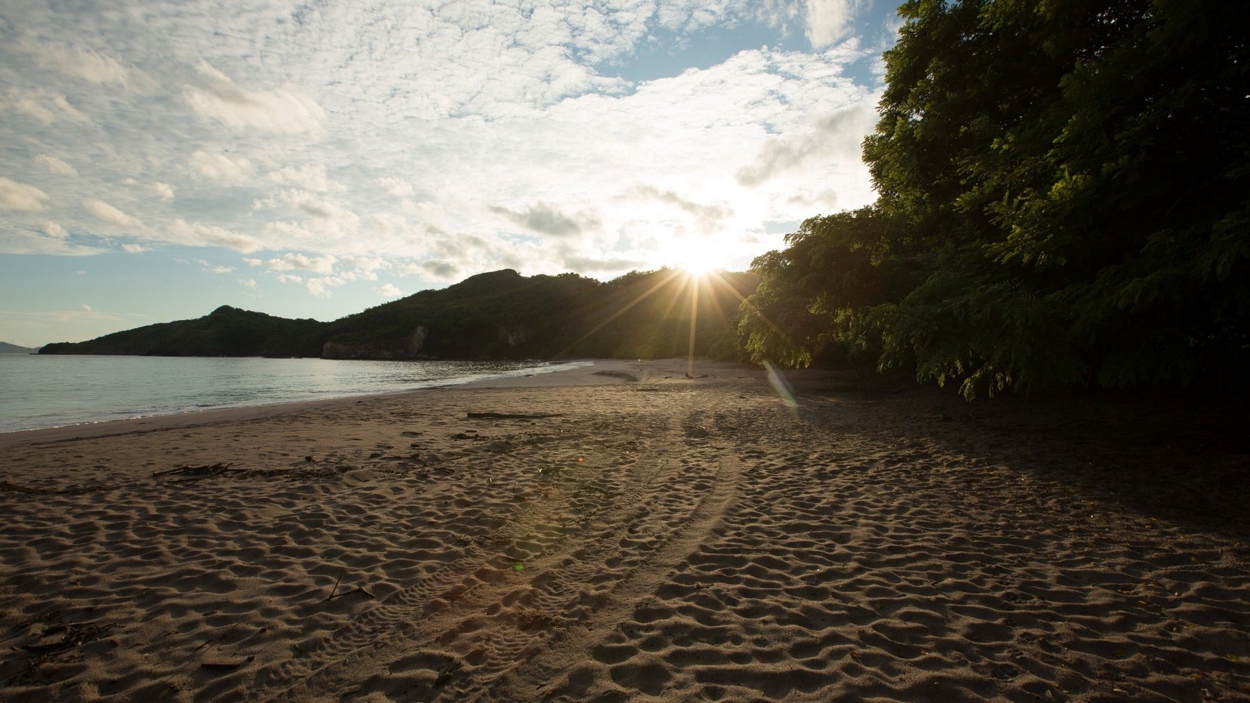Private Beachfront Land for Development — photo 3 of 19
