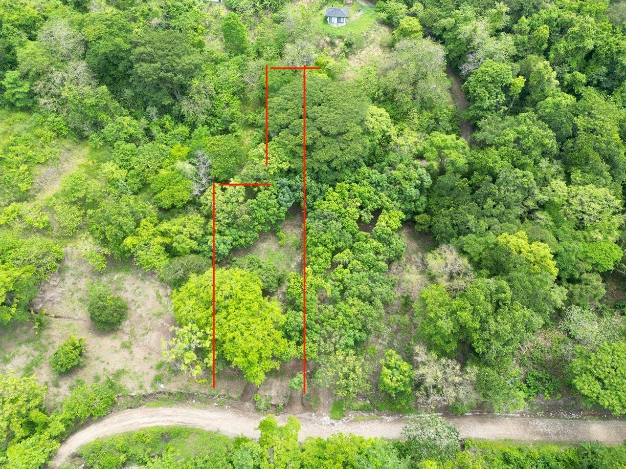 Beautiful Flat Lot Surrounded by Nature, Cabuya, Santa Teresa, Cobano, Puntarenas, Puntarenas, Costa Rica 60111