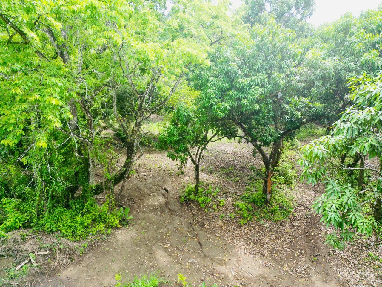 Beautiful Flat Lot Surrounded by Nature — photo 2 of 4