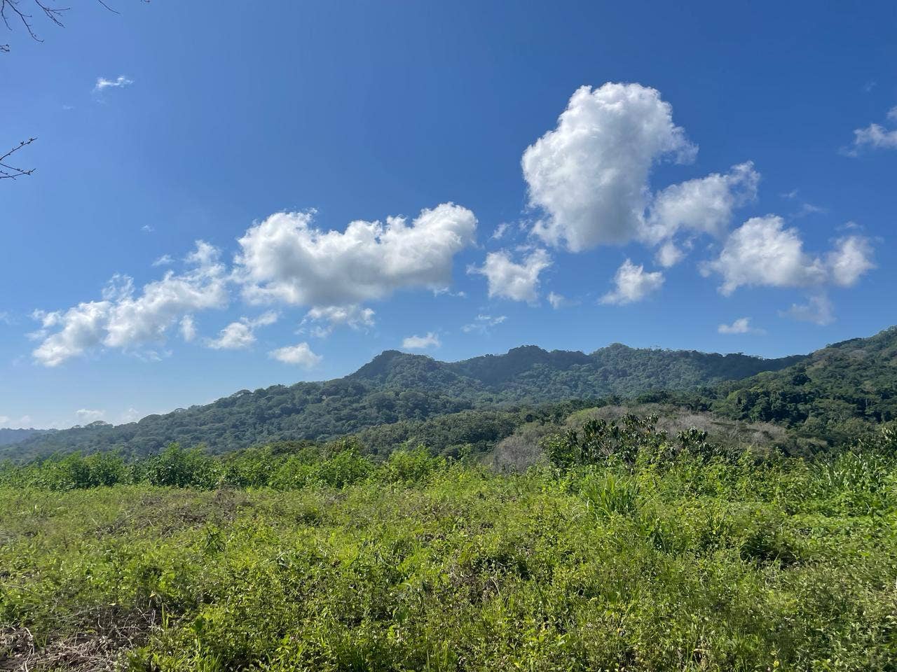 Stunning Views Cabuya Land — photo 5 of 9