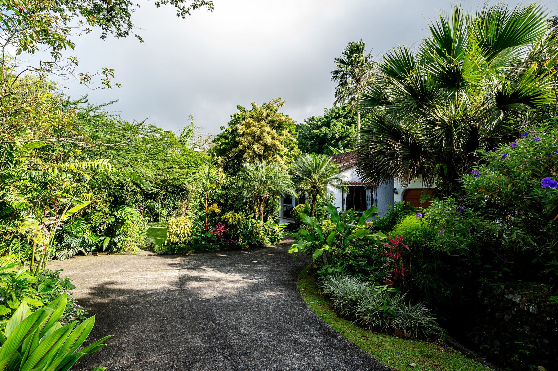 Arenal Lake View Home — photo 17 of 19