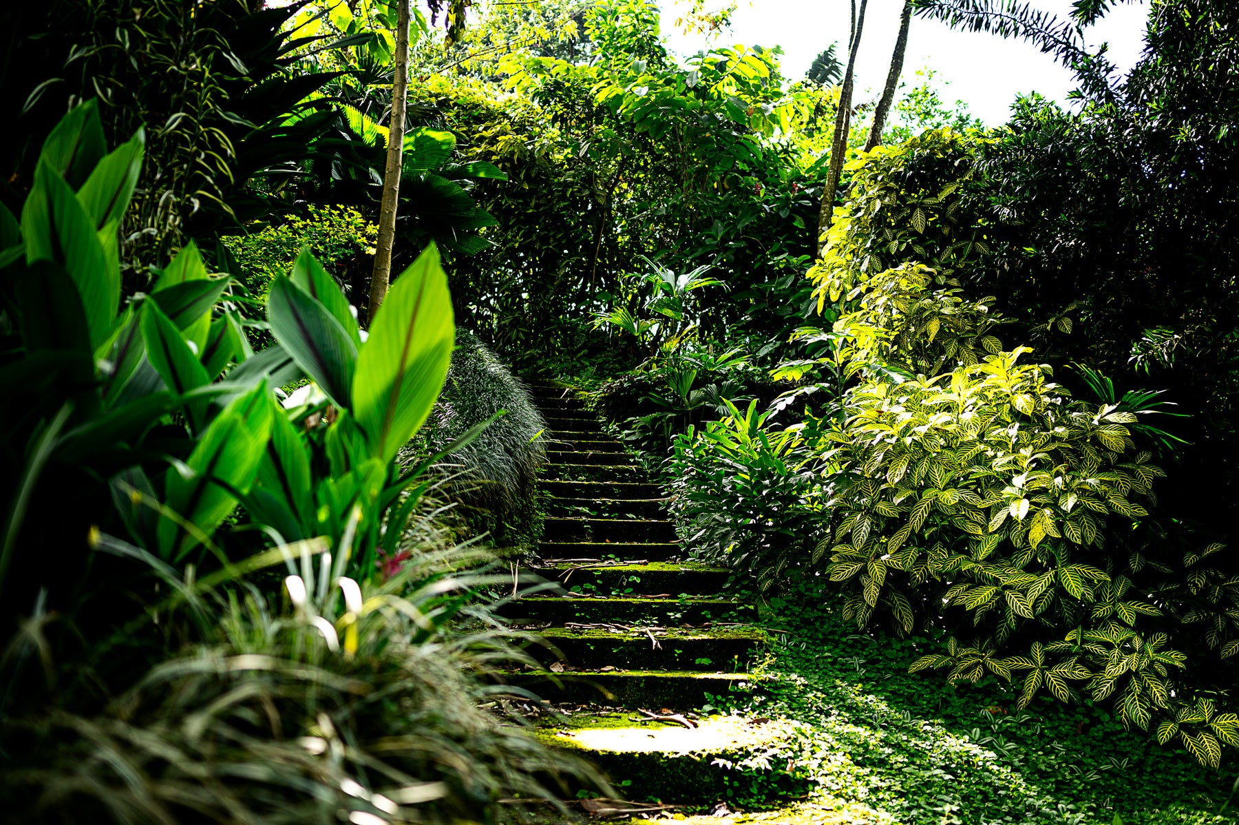 Arenal Lake View Home — photo 18 of 19