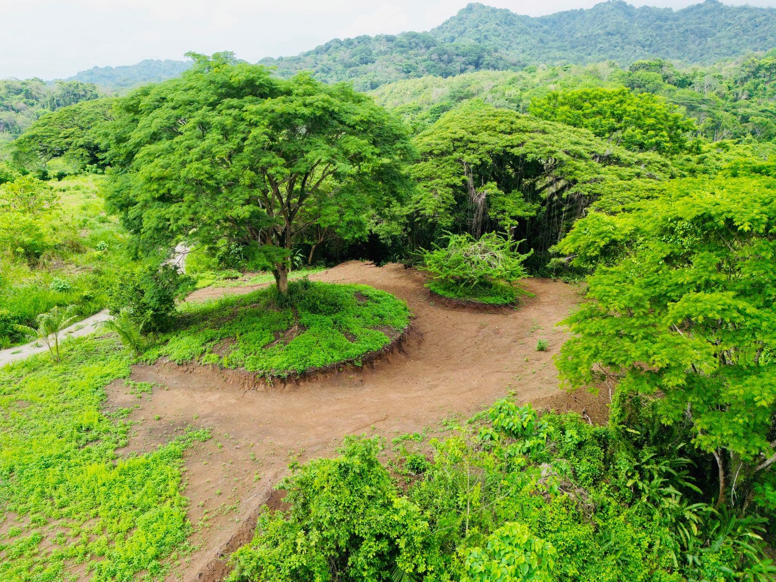 Large Beautiful Lot Surrounded by Nature — photo 4 of 6