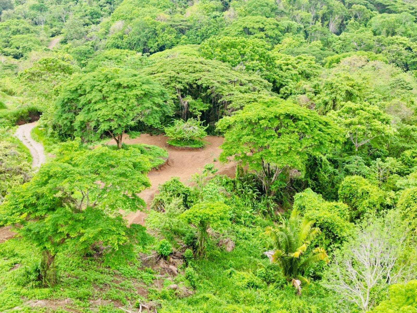 Large Beautiful Lot Surrounded by Nature — photo 5 of 6