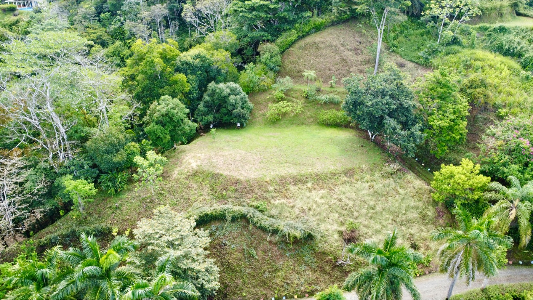 Ocean Views Beach Proximity And Refreshing Mountain Elevation, Lagunas, Dominical, Bahia Ballena, Osa, Puntarenas, Costa Rica 11909, Lagunas