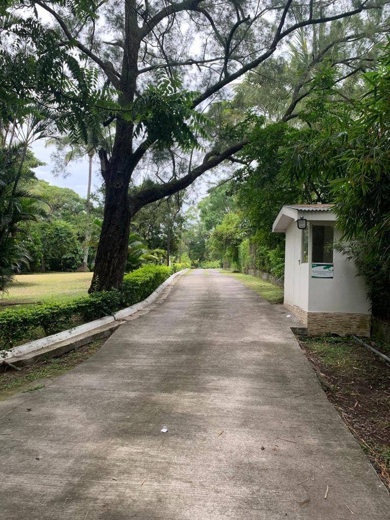 Estate Home with guest house — photo 4 of 19