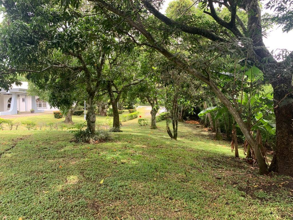Estate Home with guest house — photo 2 of 19
