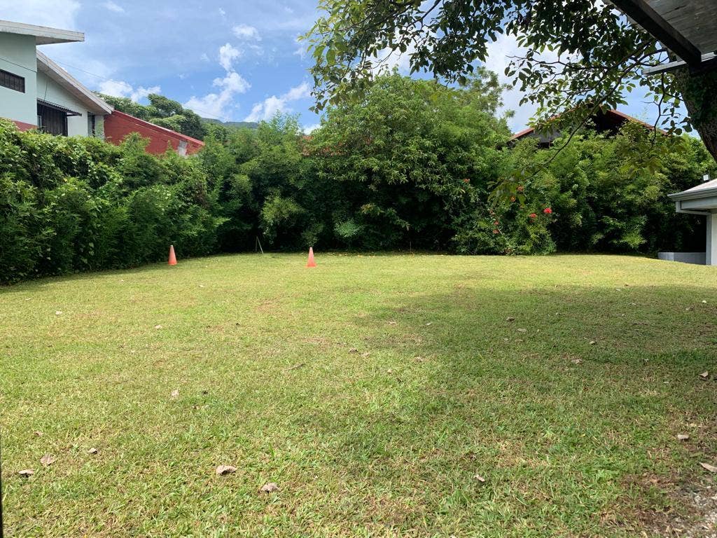 Estate Home with guest house — photo 6 of 19