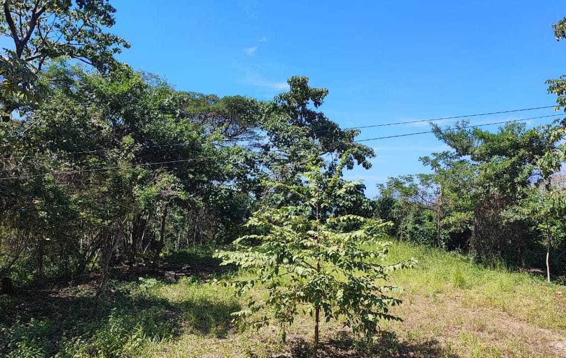 Large Ocean View Lot — photo 3 of 5