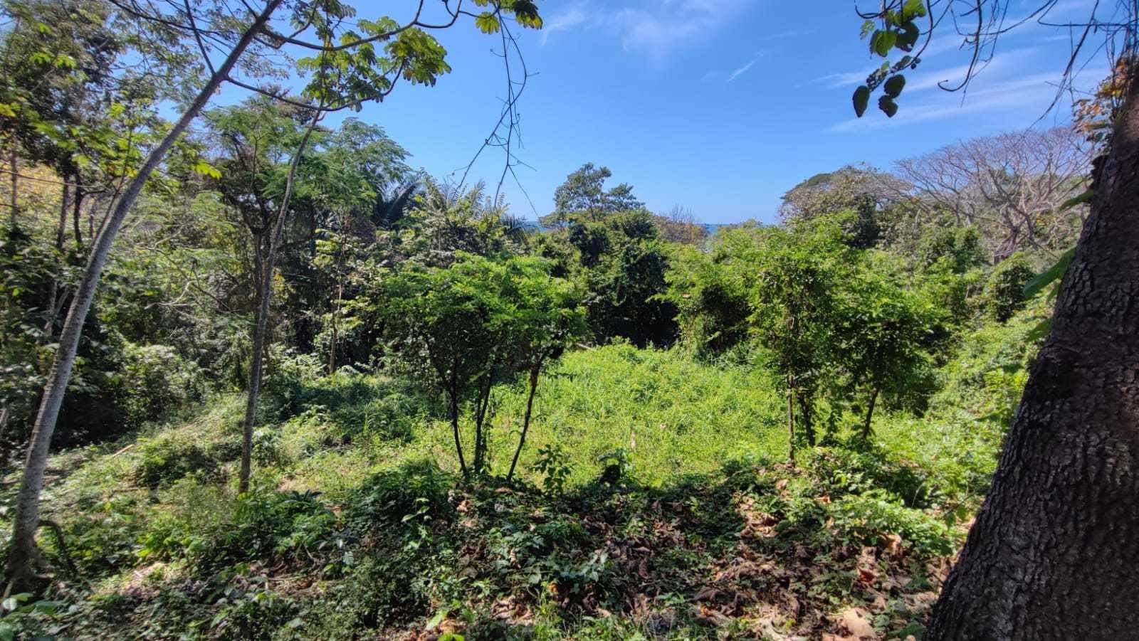 Large Ocean View Lot — photo 2 of 5