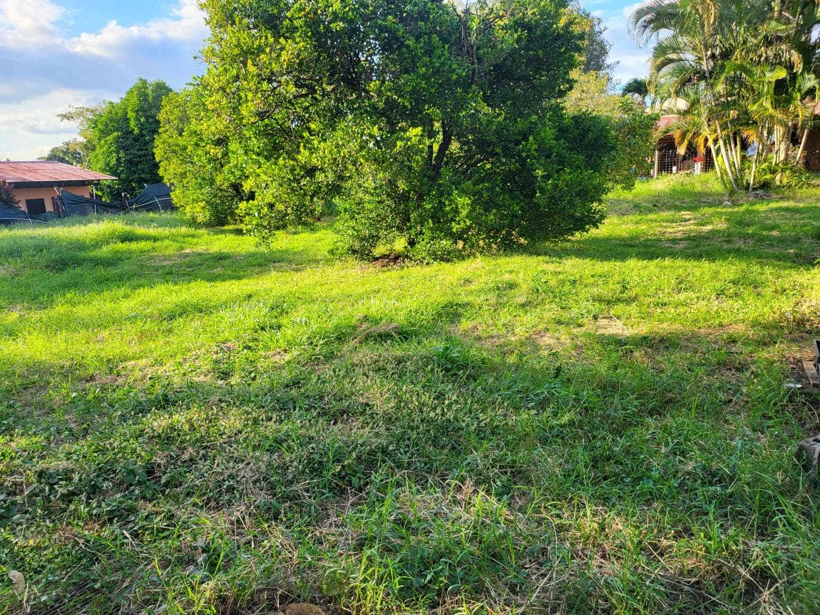 Prime Development Opportunity Land — photo 6 of 12