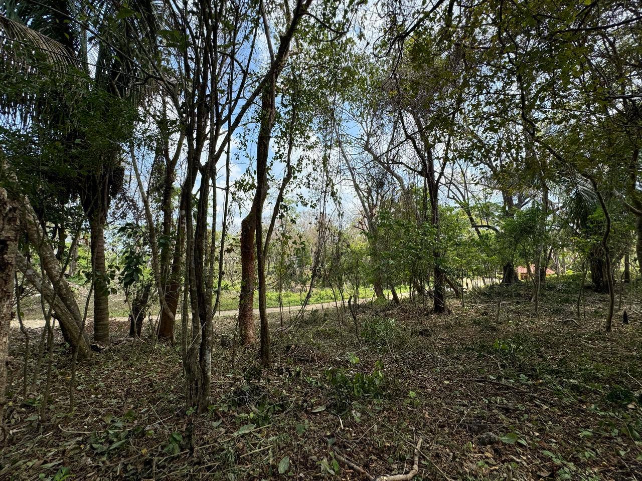 Santa Teresa Lot — photo 3 of 11