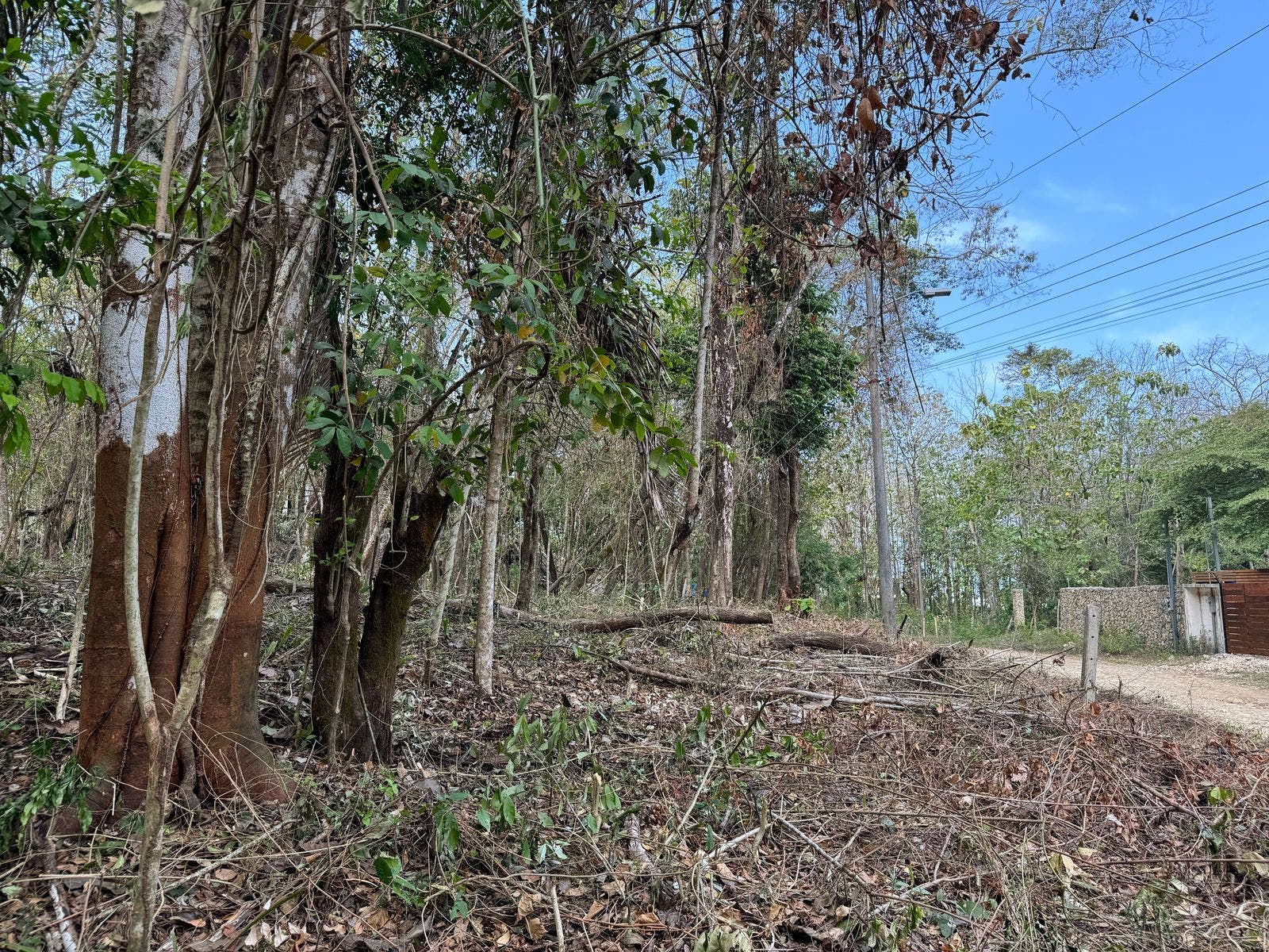 Santa Teresa Lot — photo 8 of 11