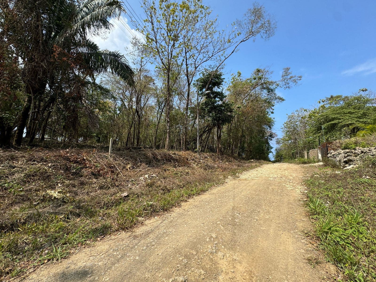 Large Santa Teresa Lot — photo 2 of 18