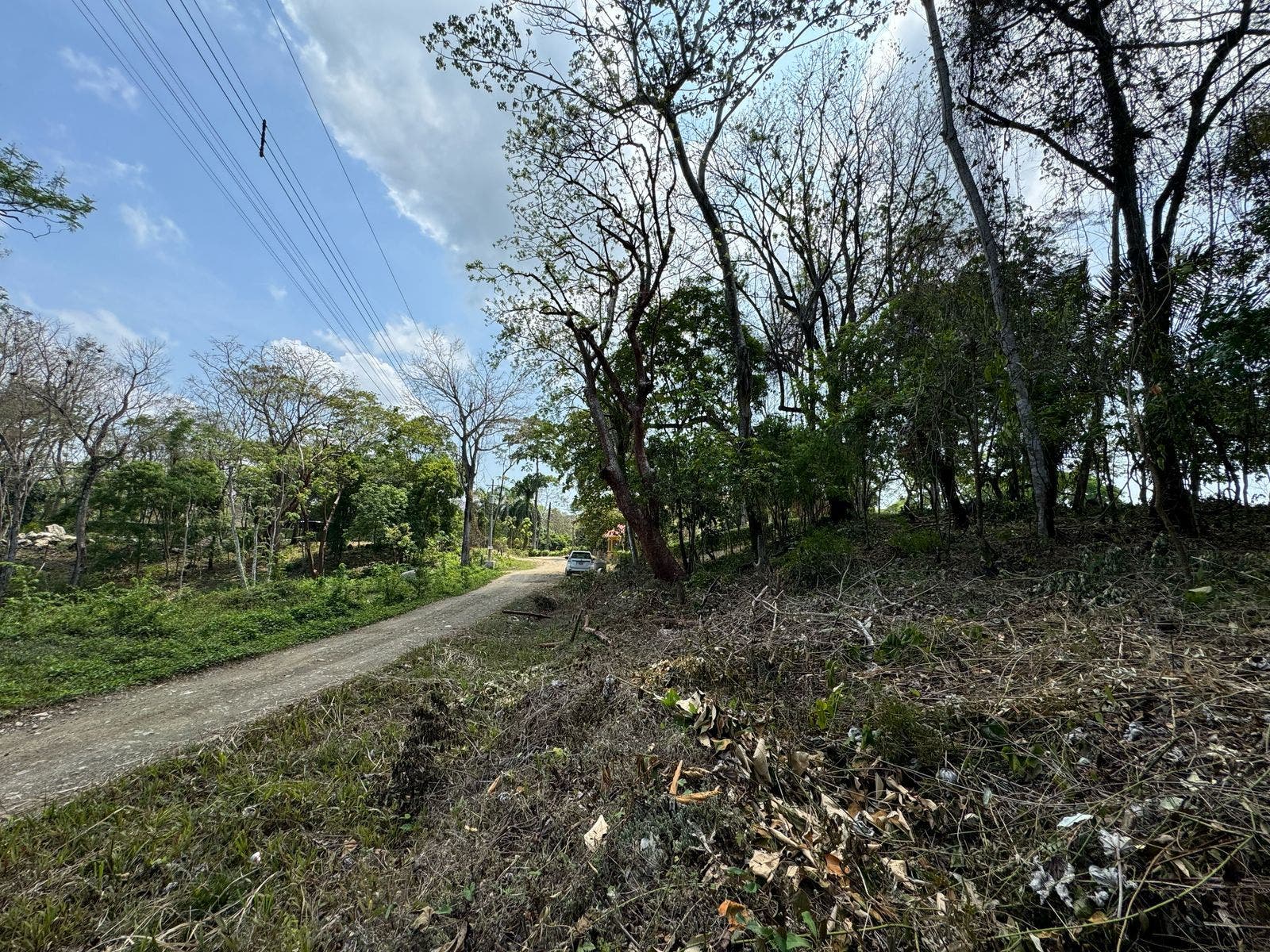 Large Santa Teresa Lot — photo 5 of 18