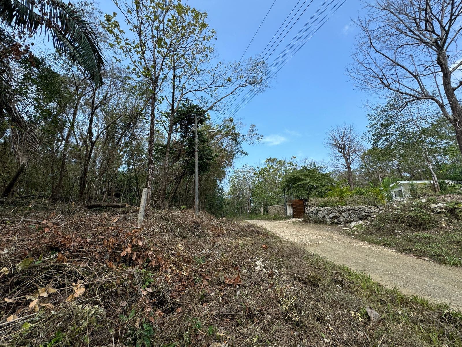 Large Santa Teresa Lot — photo 8 of 18