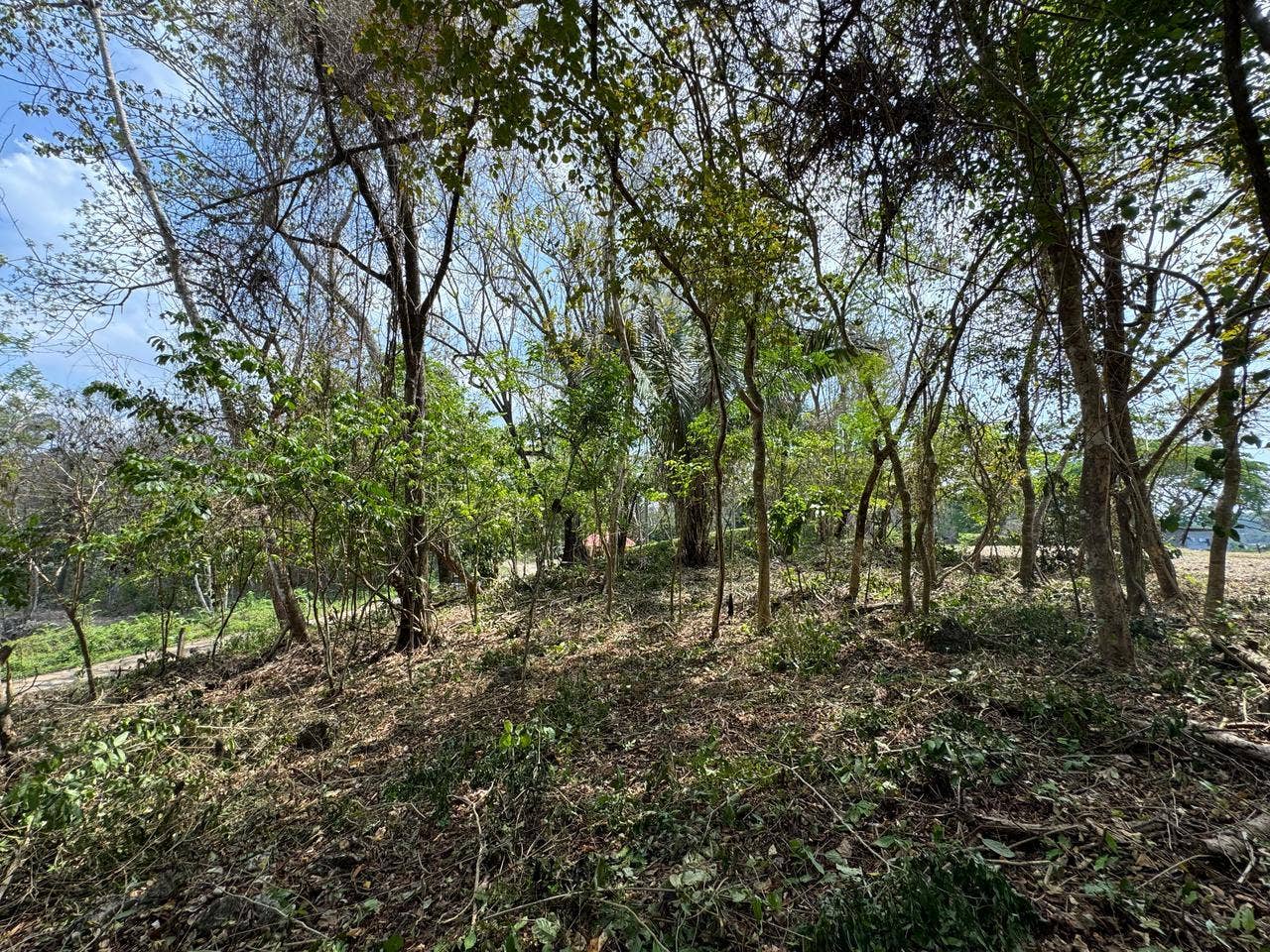 Large Santa Teresa Lot, Playa Carmen, Santa Teresa, Cobano, Puntarenas, Puntarenas, Costa Rica 60111