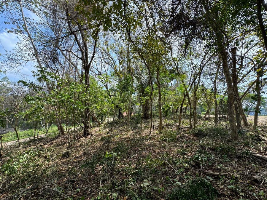 Property photo for Large Santa Teresa Lot, Playa Carmen, Santa Teresa, Cobano, Puntarenas, Puntarenas, Costa Rica