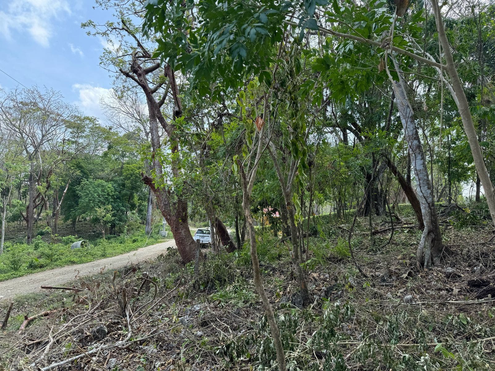 Large Santa Teresa Lot — photo 3 of 18