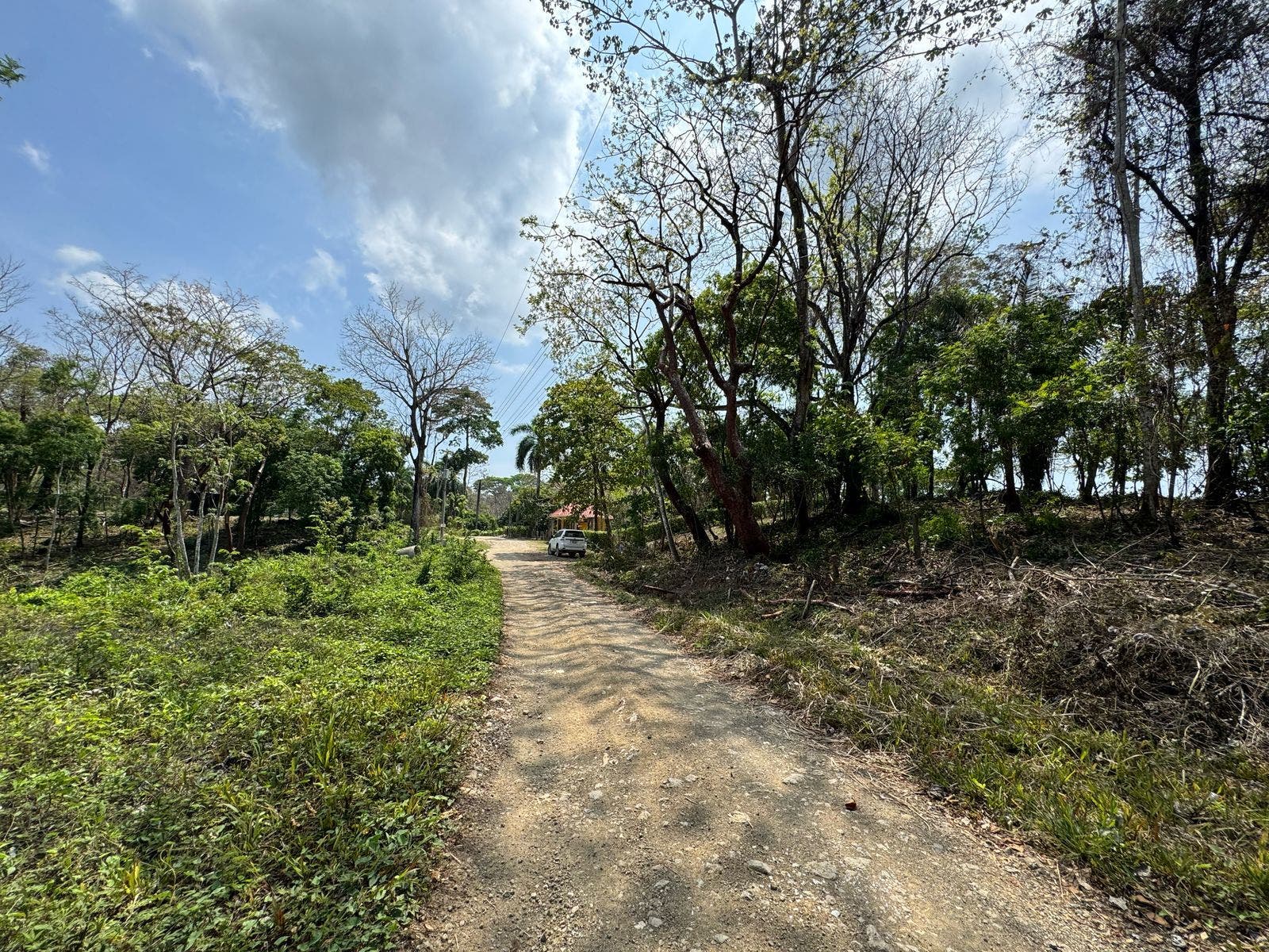 Large Santa Teresa Lot — photo 12 of 18