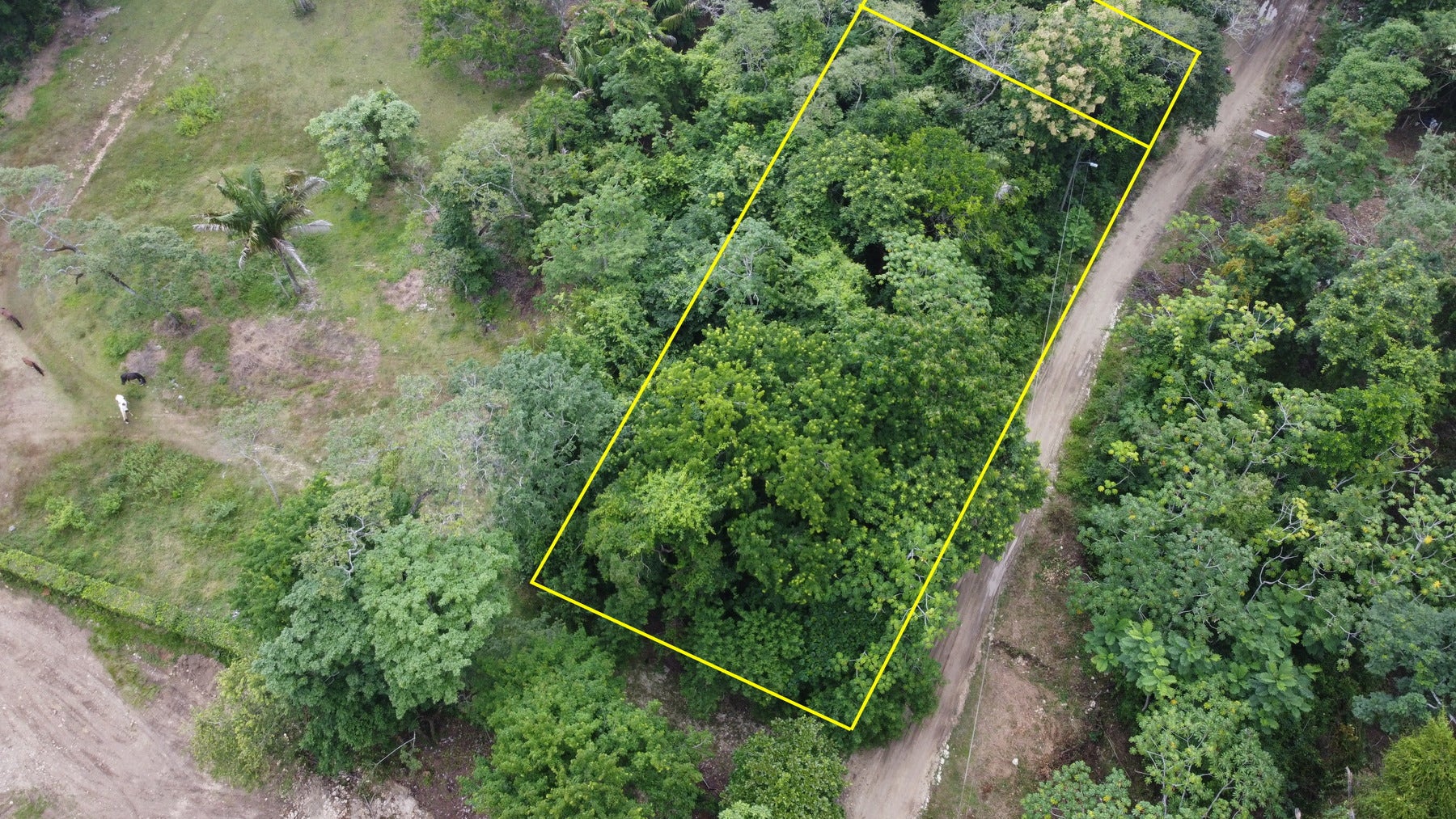 Large Santa Teresa Lot — photo 15 of 18