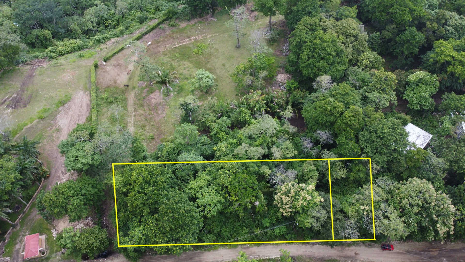 Large Santa Teresa Lot — photo 16 of 18
