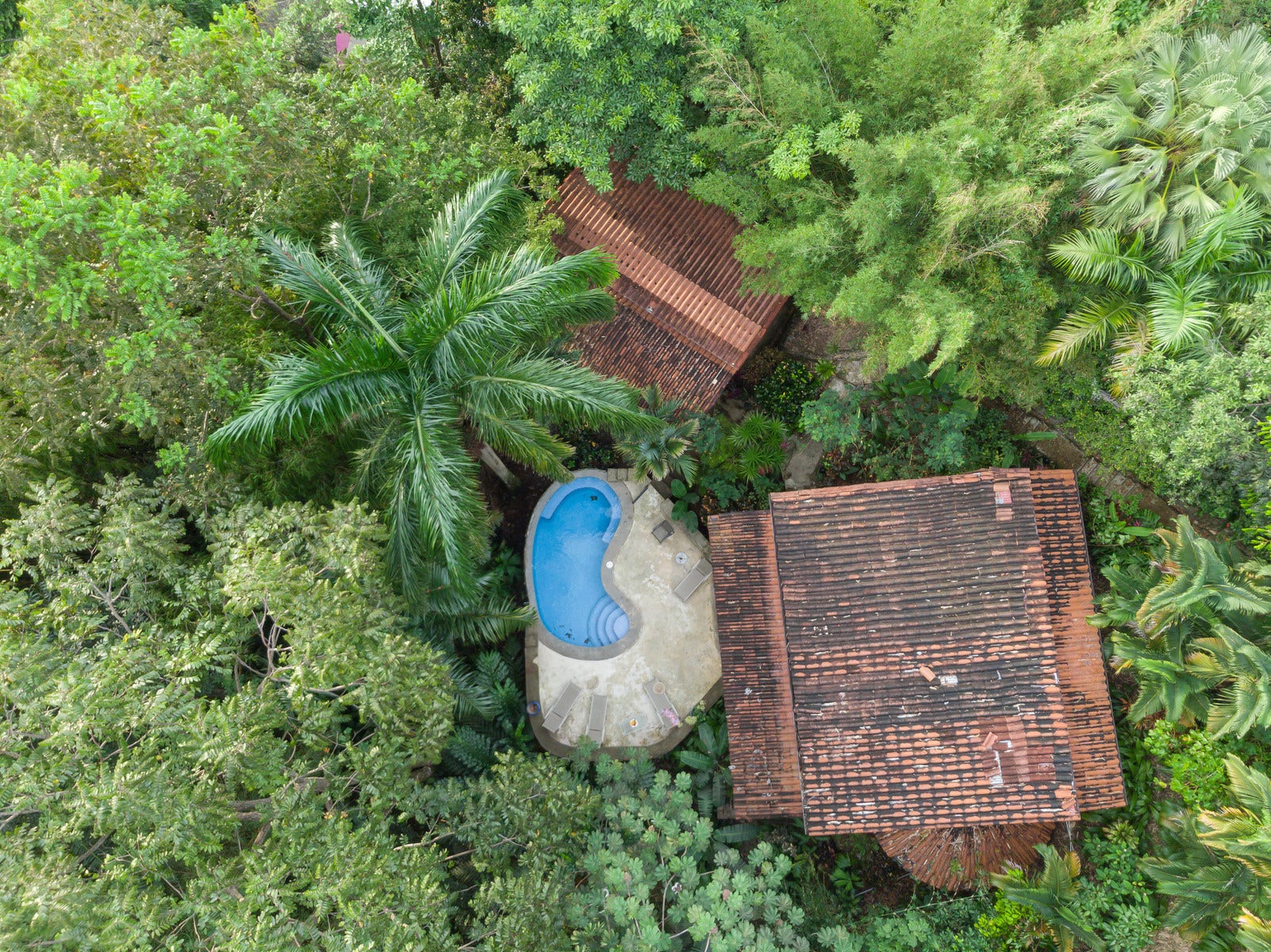 Private Rainforest Villa with Guest House — photo 4 of 19