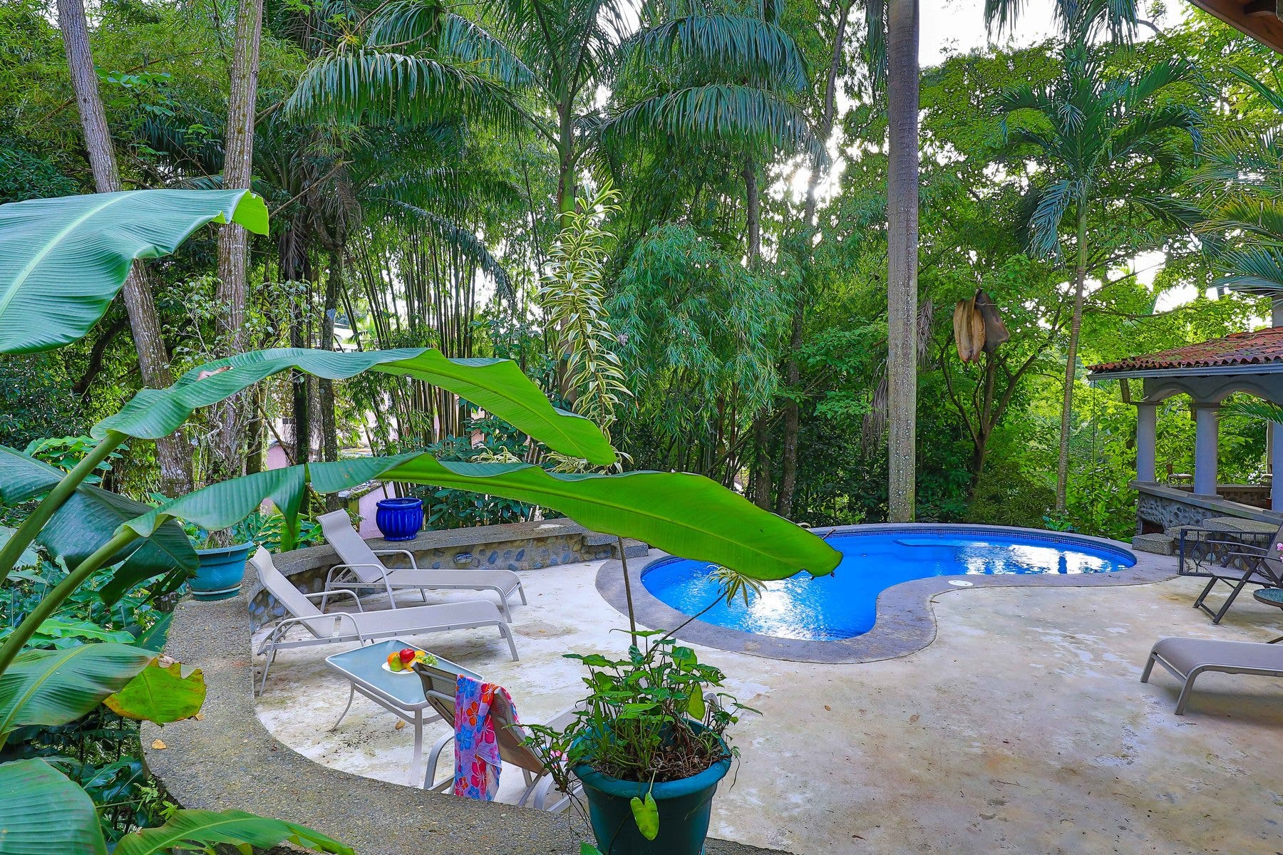 Private Rainforest Villa with Guest House — photo 15 of 19