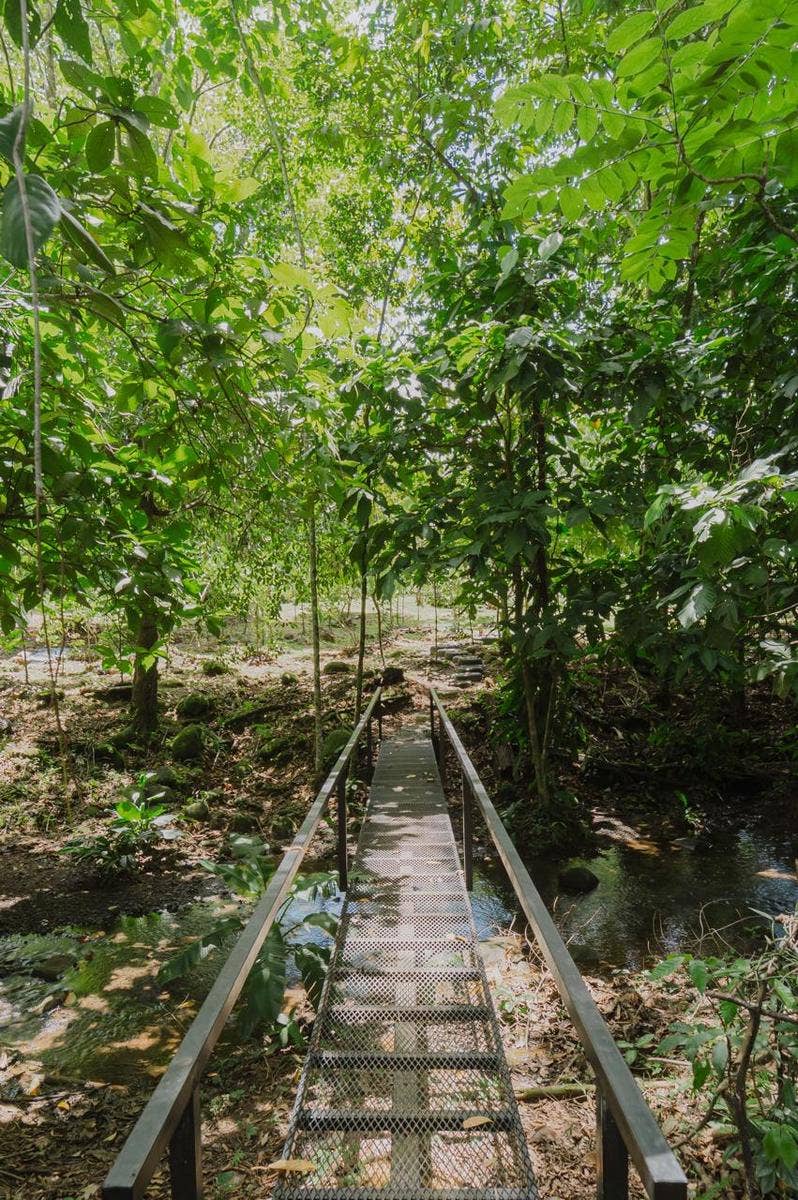 Rainforest Villa with Pool and Creek — foto 16 de 18