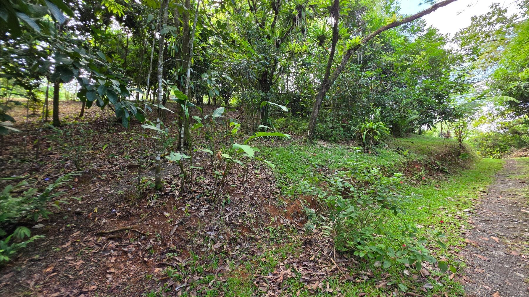 Rare Property With River And Mountain Views, Quepos, Manuel Antonio, Naranjito, Quepos, Puntarenas, Costa Rica 60601, Quepos