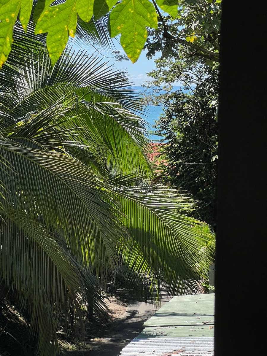 Buildable Lot Walk to Beach — photo 3 of 12