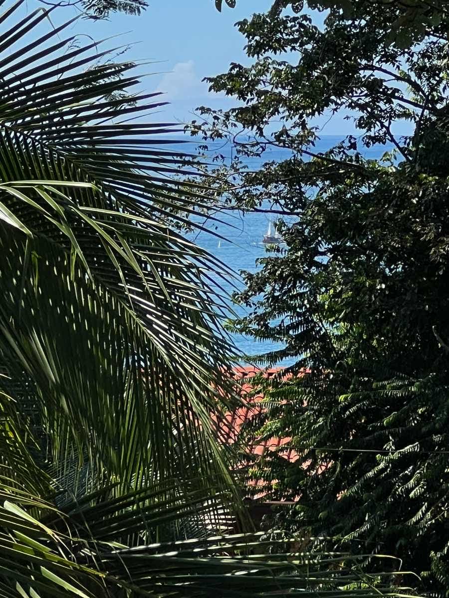 Buildable Lot Walk to Beach, Manuel Antonio, Manuel Antonio, Quepos, Puntarenas, Costa Rica 60601