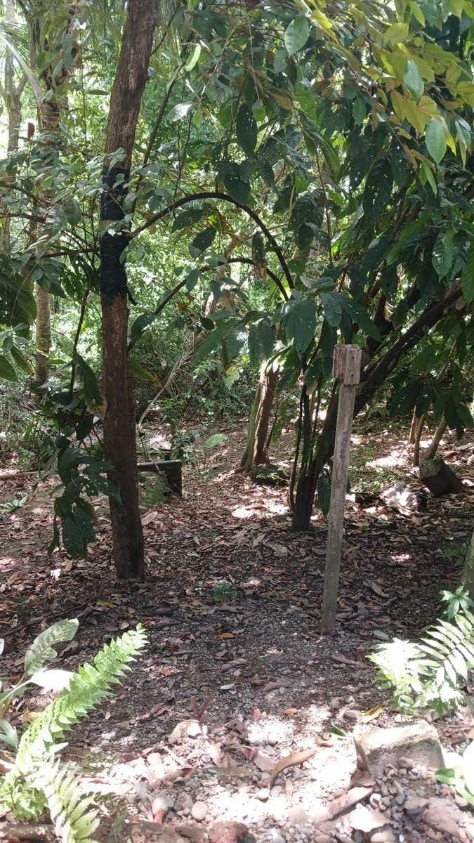 Buildable Lot Walk to Beach — photo 6 of 12