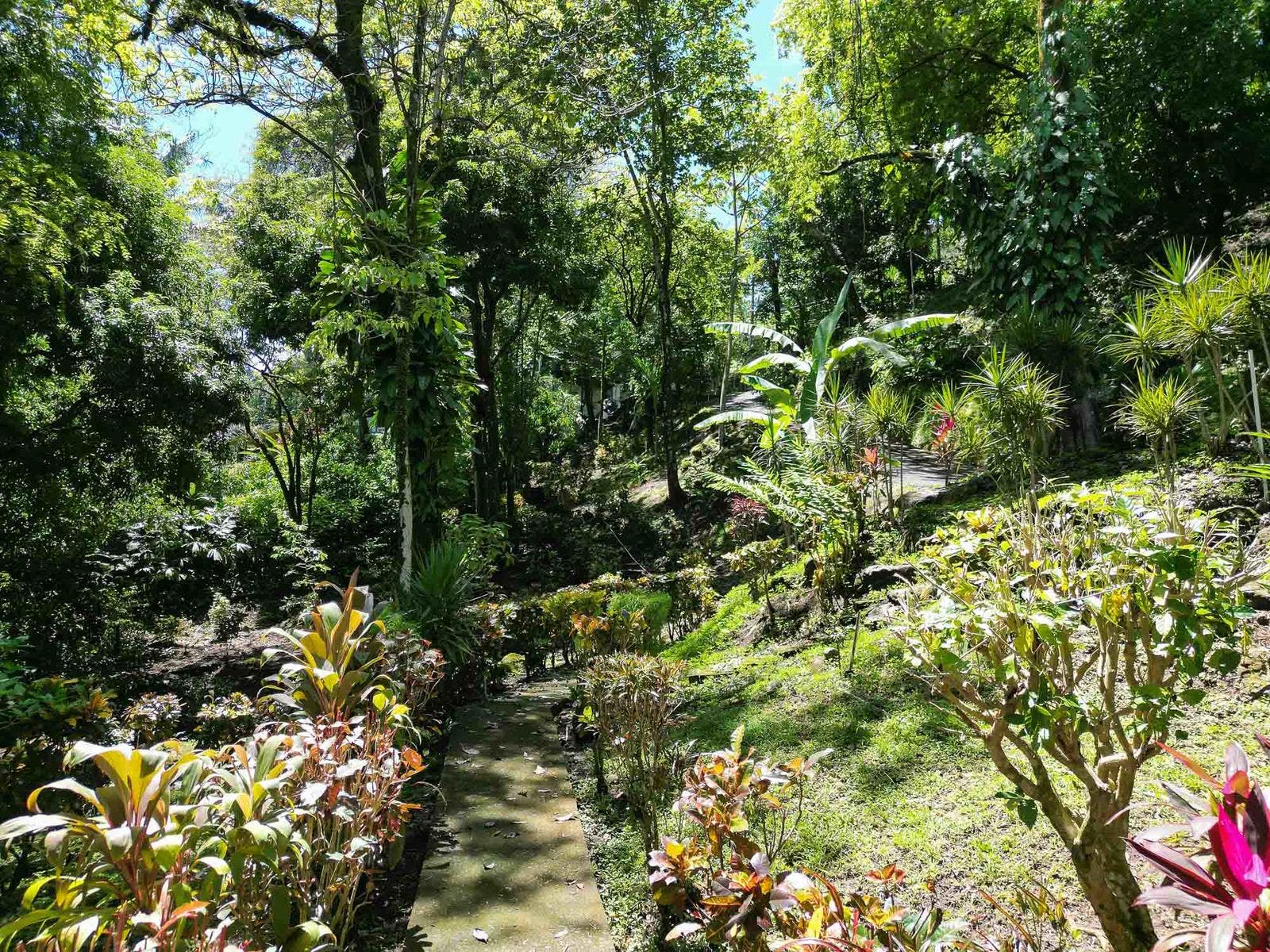 Ocean View Estate Property — photo 9 of 19