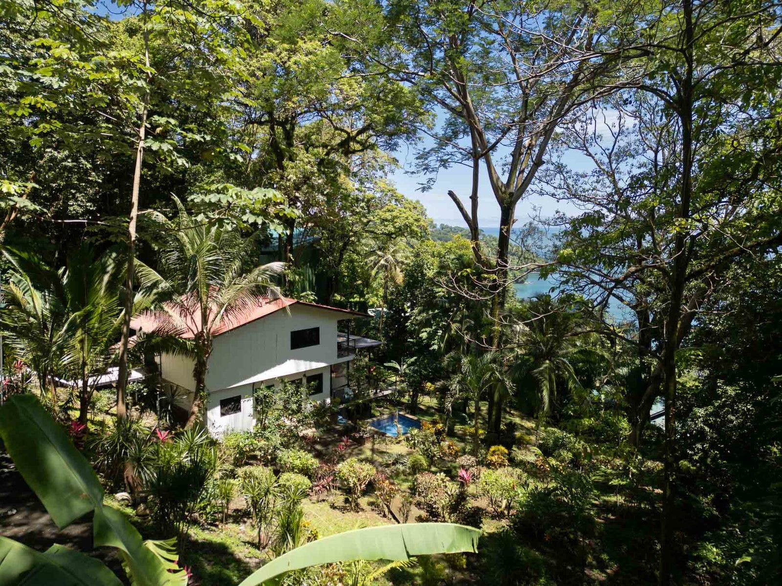 Ocean View Estate Property — photo 6 of 19