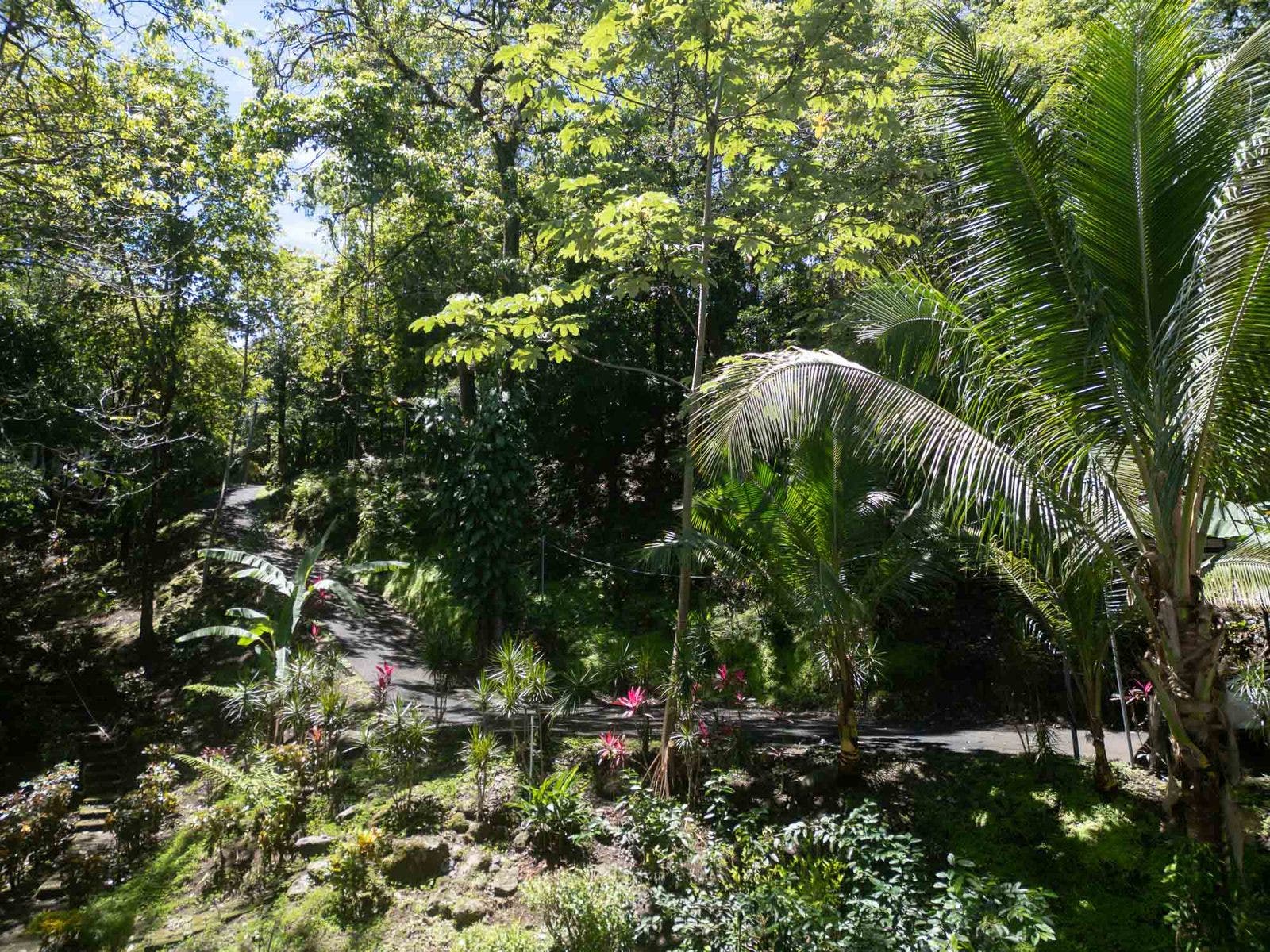 Ocean View Estate Property — photo 11 of 19