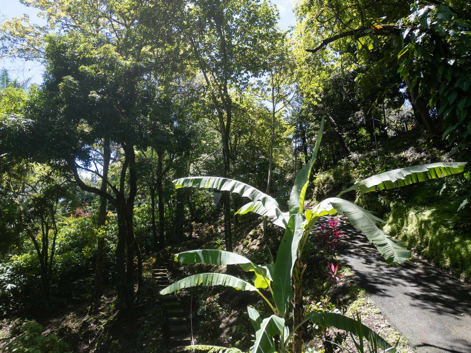 Ocean View Estate Property — photo 13 of 19